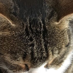 Meet your Posher, Hailey